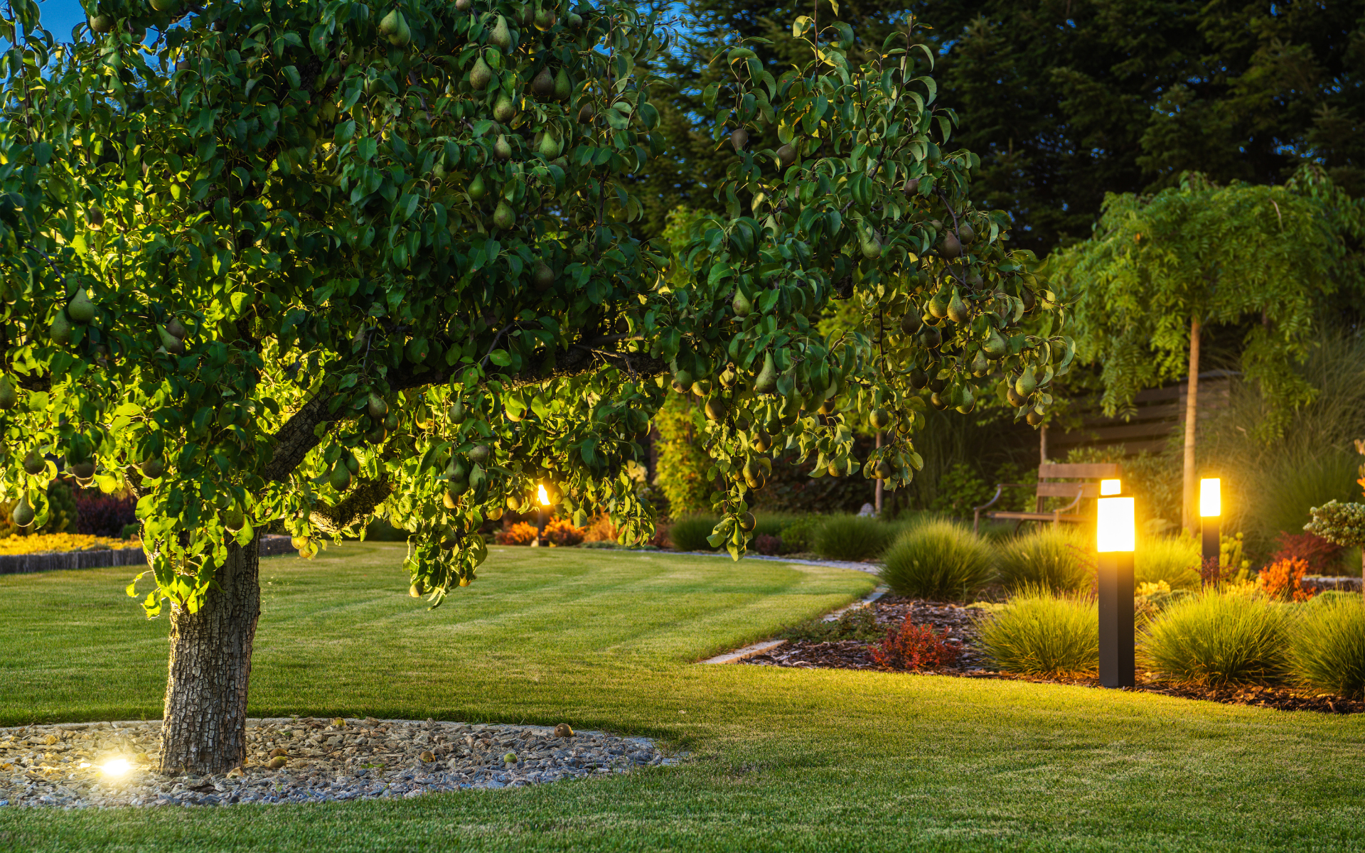 Landscape Lighting 7